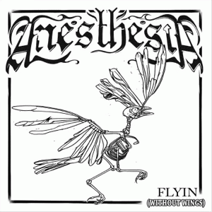 Anesthesia (USA-2) : Flyin' (Without Wings)